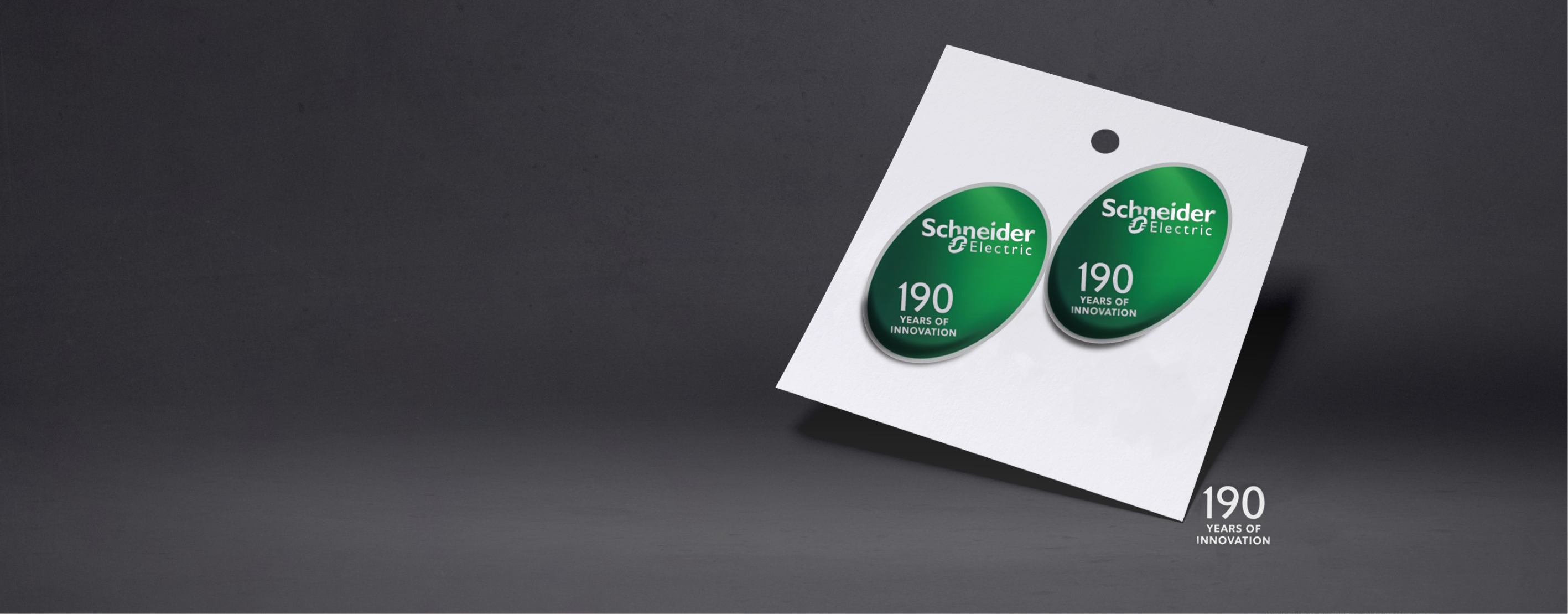 Banner image - Lapel Pins